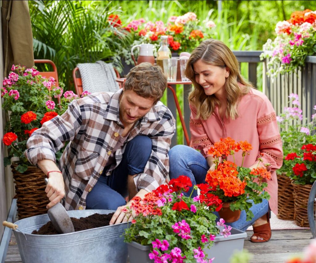 Een stel plant geraniums samen in een kuip op een gezellig balkonterras, omgeven door weelderige, bloeiende geraniums en tuingereedschap. Ze gebruiken turfvrije potgrond.
