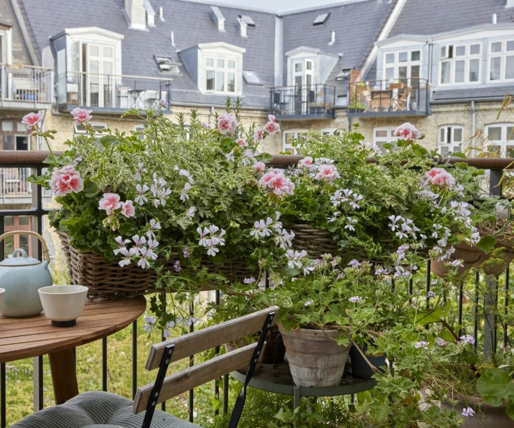 Een gezellig balkon met een ronde houten tafel en bijpassende stoelen. Weelderige geraniums in felle kleuren sieren de leuningen en bieden uitzicht op de pittoreske gevel van de gebouwen aan de overkant. Een theepot en kopjes op tafel nodigen uit tot een ontspannende pauze. 