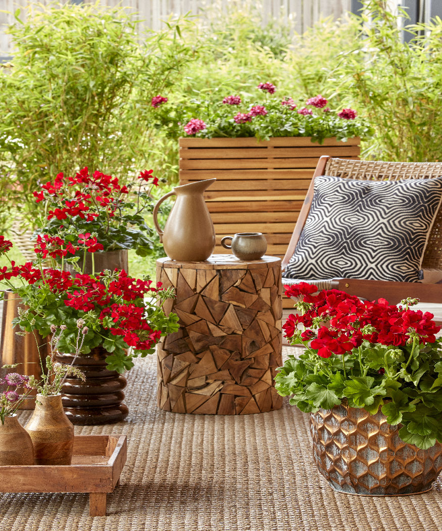 Buitenleven: vijf populaire trends. Geraniums, meubels en accessoires toveren terrassen, balkons en veranda’s om tot buitenleefruimtes.