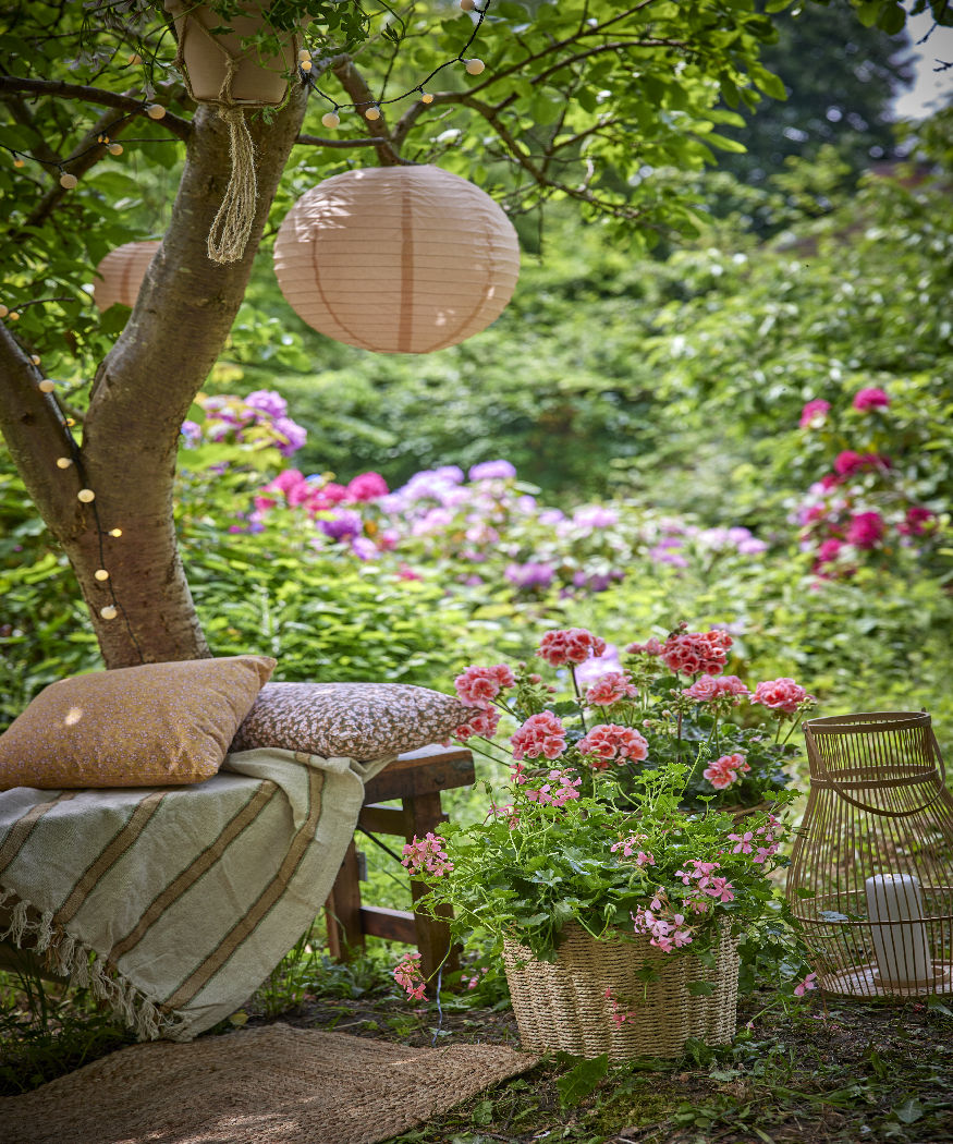 Favoriete lievelingsplekjes. Een tuin gevuld met geraniums: een ideale ontsnapping