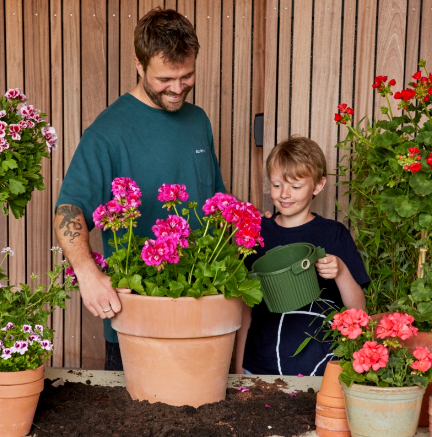 Tuinieren met kinderen: met geraniums is het makkelijk